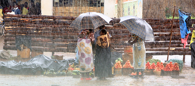 Malawi Dedza district fruit market during rain