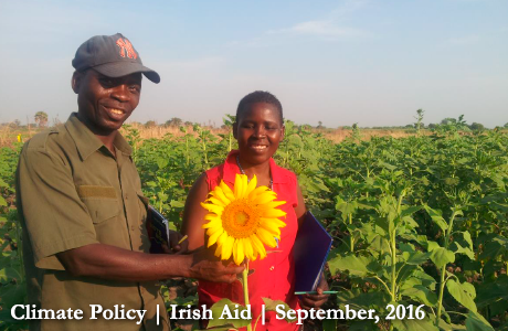 Christopher and Matilda of the Mynororo Sunflower Producers Group, Chunya district, Mbeya, Tanzania. Photo: Irish Aid